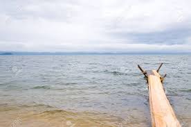 duckrun of wood at a lake half sinked