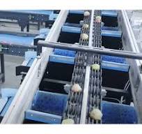 2 Lane Fruit And Vegetable Colour Size And Weight Sorting Machine
