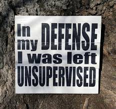 1000 Ideas About Funny Wood Signs On Pinterest Wood Signs Funny Wood Signs Funny Signs Sign Quotes