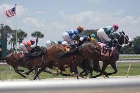 For those who are new to horse racing handicapping, what you'll find for each race is a line of four numbers informing you which number of horses for that race we have picked to come first, i.e. Today S Free Tampa Bay Downs Winning Horse Picks 2021