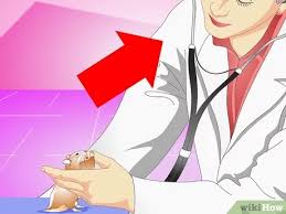 3 Ways To Make Your Hamster Live Longer Wikihow Download free xhamster live webcam tips apk for android, apk file named ml.xhamster.livewebcam and app developer company is. 3 ways to make your hamster live longer