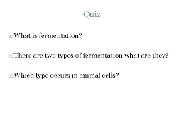Cellular respiration answer key pogil Cellular Respiration And Fermentation Quiz