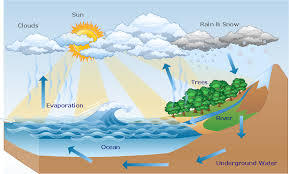 Hydrologic Cycle Diagram Water Cycle Diagram Water Cycle
