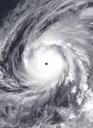 To make or create something e letters you did not circle in order from 6. Typhoon Wikipedia