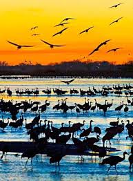 Fun Midwest Spring Getaways Midwest Getaways Spring Getaway Travel Tours