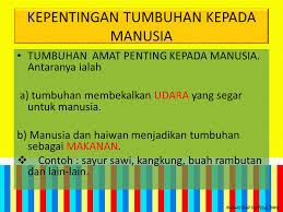 Manusia bergantung pada tumbuhan dan haiwan untuk makanannya.masih banyak spesies tumbuhan dan haiwan yang belum diterokai tetapi berpotensi untuk membekalkan makanan kepada populasi manusia dunia yang semakin meningkat. Dunia Sains Dan Teknologi Belajar Dengan Ceria Dst Tahun 3 Ciri Ciri Tumbuhan