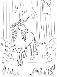 Forest Unicorn Coloring Page Free Printable Coloring Pages Horse Coloring Pages Unicorn Coloring Pages Unicorn Pictures