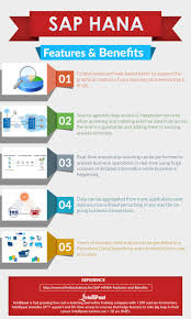 Online Professional Training Courses And Certification Intellipaat Sap Change Management Program Management