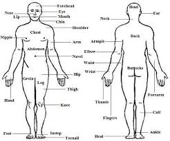 Maybe you would like to learn more about one of these? Pin On Science Class