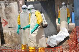 Marburg virus causes marburg virus disease in humans and nonhuman primates, a form of viral hemorrhagic fever. K Fj7usqyrxxpm