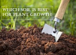 The u.s.d.a natural resources conservation service's soil. Which Soil Is Best For Plant Growth Garden Talk Nurserylive Wikipedia