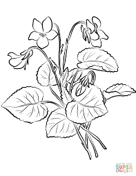 You can make it even more beautiful by adding the right color to the picture you are given. Violets Coloring Page Free Printable Coloring Pages Flower Drawing Violet Flower Flower Coloring Pages