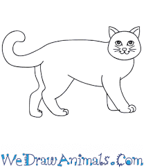 If so, then this tutorial on how to draw a cat face will appeal to you. How To Draw A Cartoon Cat