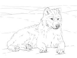 Ausmalbilder bereiten kleinen kindern große freude und sind schnell ausgedruckt. Arctic Wolf Coloring Page Puppy Coloring Pages Dog Coloring Page Cat Coloring Page