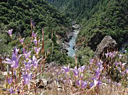 We have been going to grass valley, on to nevada city to the south fork of the yuba river since i was 17. The Yuba River From Wild West To Wild And Scenic Tahoe Quarterly