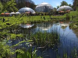 Maybe you would like to learn more about one of these? Botanischer Garten Uzh