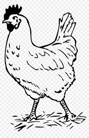 This fun printable chicken model comes complete with easter eggs. Chicken Clipart Coloring Pages And Other Free Printable Design Themes