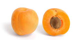 Apricot - Wikipedia