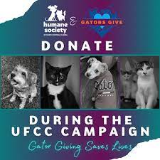 Gators Give To The Humane Society Of North Central Florida I Love Larne Animal Rescue Fundraising Humane Society Pet Organization