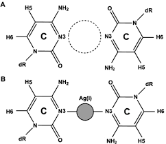 Hugoочки солнцезащитные hg 1091/s oit. Construction And Characterization Of Metal Ion Containing Dna Nanowires For Synthetic Biology And Nanotechnology Scientific Reports