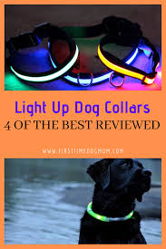 Light Up Dog Collars Up Dog Dog Collar Light Led Dog Collar