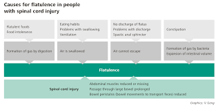 Image result for Flatulence