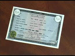 We did not find results for: Getting Your Florida Driver License Or I D Youtube