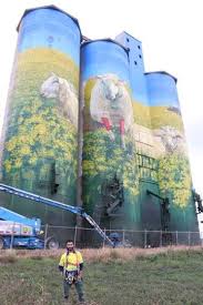Silos At Merriwa Nsw Australia Painted By Artist David Lee Pereira Of Melbourne Murals Street Art Street Art Street Art Graffiti