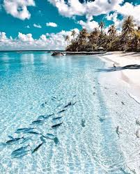 Joan Wilder On Twitter Places To Travel Beautiful Islands Scenery