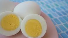 Image result for what to feed dogs when they have the runs