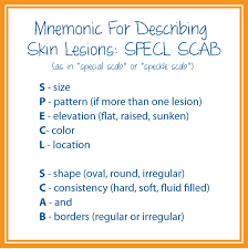 Mnemonic For Describing Primary And Secondary Skin Lesions Pathophysiology Nursing Wounds Nursing Fundamentals Of Nursing
