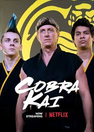 Tudo o que você precisa saber antes de assistir à série da netflix. Cobra Kai Rotten Tomatoes