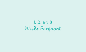 We did not find results for: 1 3 Weeks Pregnant What Happens In The First Weeks Pampers