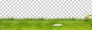 Football field football football pitch sport rush. Artificial Turf Grassland Flora Ecosystem Lawn Png Clipart Background Background Green Energy Field Football Field Free