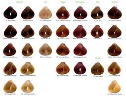 color chart for naturtint im one of those naturalistas