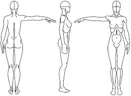 Premium stock photo of woman body sketch. How To Draw A Female Body 7 Steps Instructables
