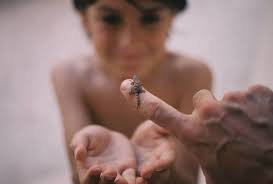 Film comes out of the fridge, with Ben Vine