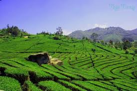 Menikmati pemandangan alam adalah cara paling menarik untuk mengurangi risiko stress, meningkatkan produktivitas, serta mendapatkan inspirasi. Pemandangan Alam 1024x660 Wallpaper Teahub Io