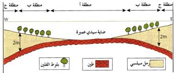 تأثير العوامل التربية على توزيع المتعضيات