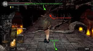 Accidentally Used 41 Humanity In One Go Instead Of Just 2 :( : R/Darksouls