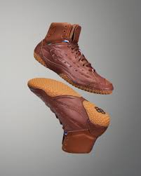 Image result for Aspilia rudis