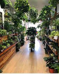 65 Indoor Garden Ideas You Will Fall For Plants Indoor Garden Plant Decor Indoor