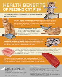 Even though shrimp chips taste light and the seafood meat suggests it's healthier than potato or corn chips, that's still junk kittens can eat shrimp too! Why Do Cats Like Fish Unexpected Reasons You Need To Know