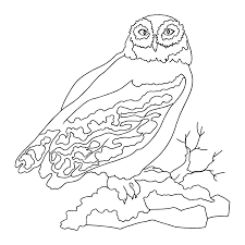 Some free and printable predator coloring pages are collected for the fan, enjoy! Coloring Page With An Owl Free Online