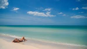 Animated wallpaper for pc aquarium live wallpaper 3d desktop wallpaper 3d animation wallpaper cool live wallpapers live wallpaper for pc motion this live wallpaper gives you a realistic look of the water world. Bikini On Beach Hd Live Wallpaper Engine Download Wallpaper Engine Wallpapers Free