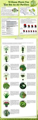 This Chart Is Great I Have Many And More Of These Plants In