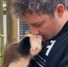 Outdoor enclosure finally complete and so excited to bring Noodle into our  lives! 🥰🐵