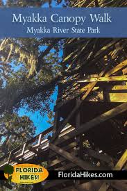 Tickets & tours‎ marie selby botanical gardens: Myakka Canopy Walk Myakka River State Park Florida Hikes