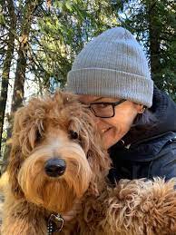 The best way to find maltipoo breeders is with our puppy finder. Washington Archives Valley Vineyard Labradoodles