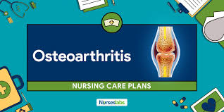 Pin On Nursing School